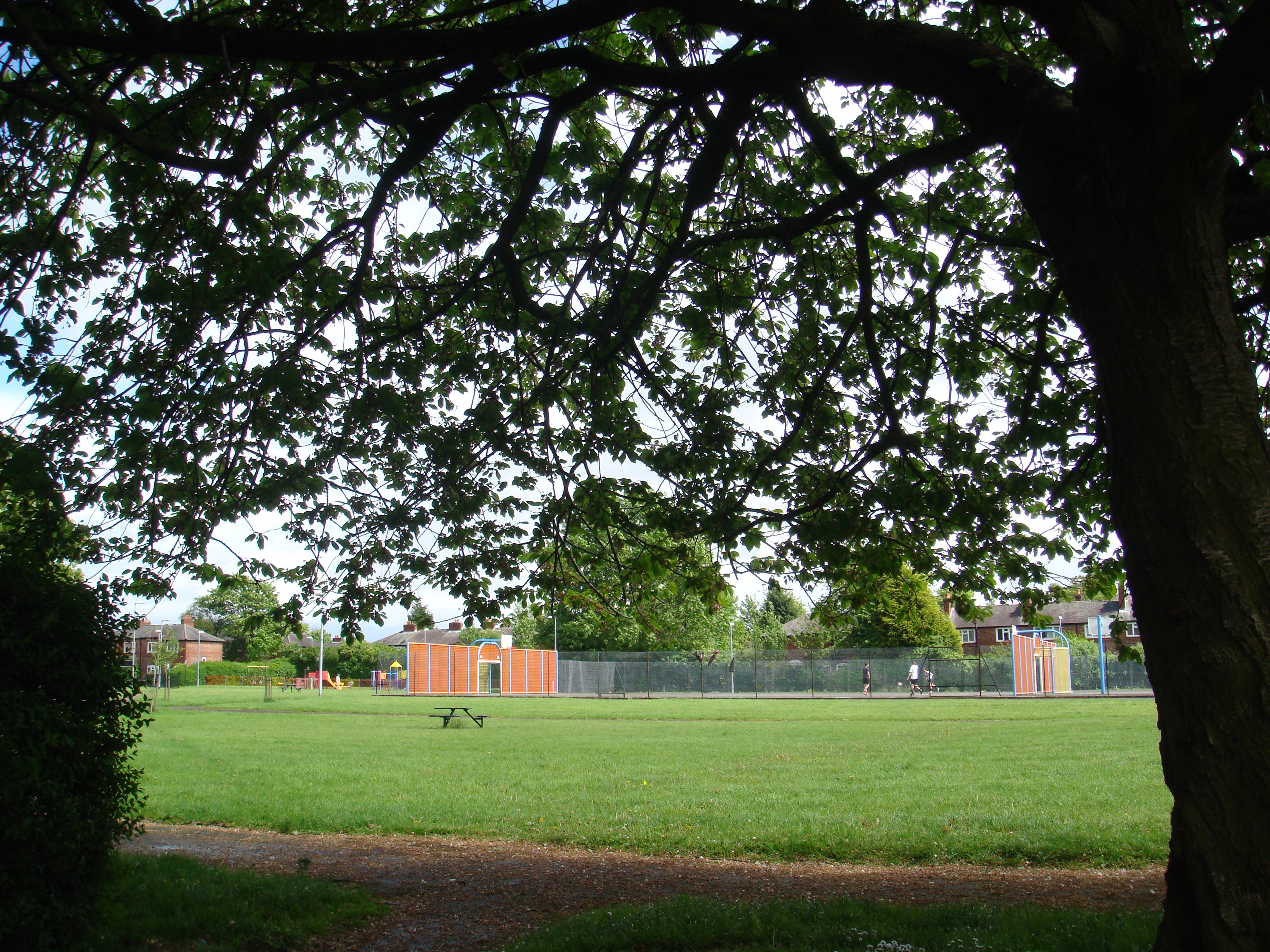 Kingswood Park, Ladybarn